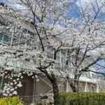 Thumbnail of related posts 185