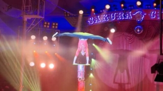 Thumbnail of post image 128